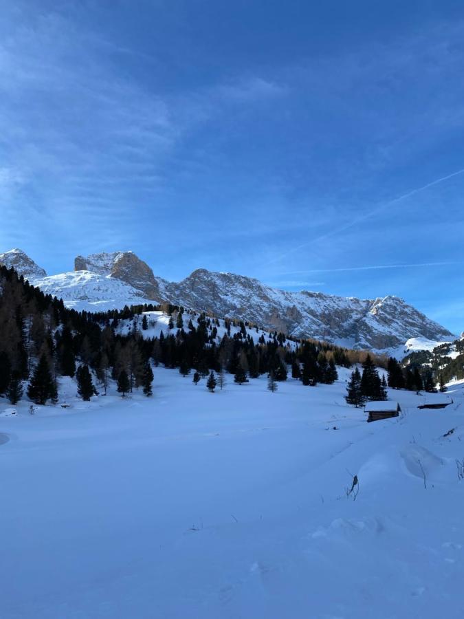 Апартаменты Casa Fiemme Панкия Экстерьер фото