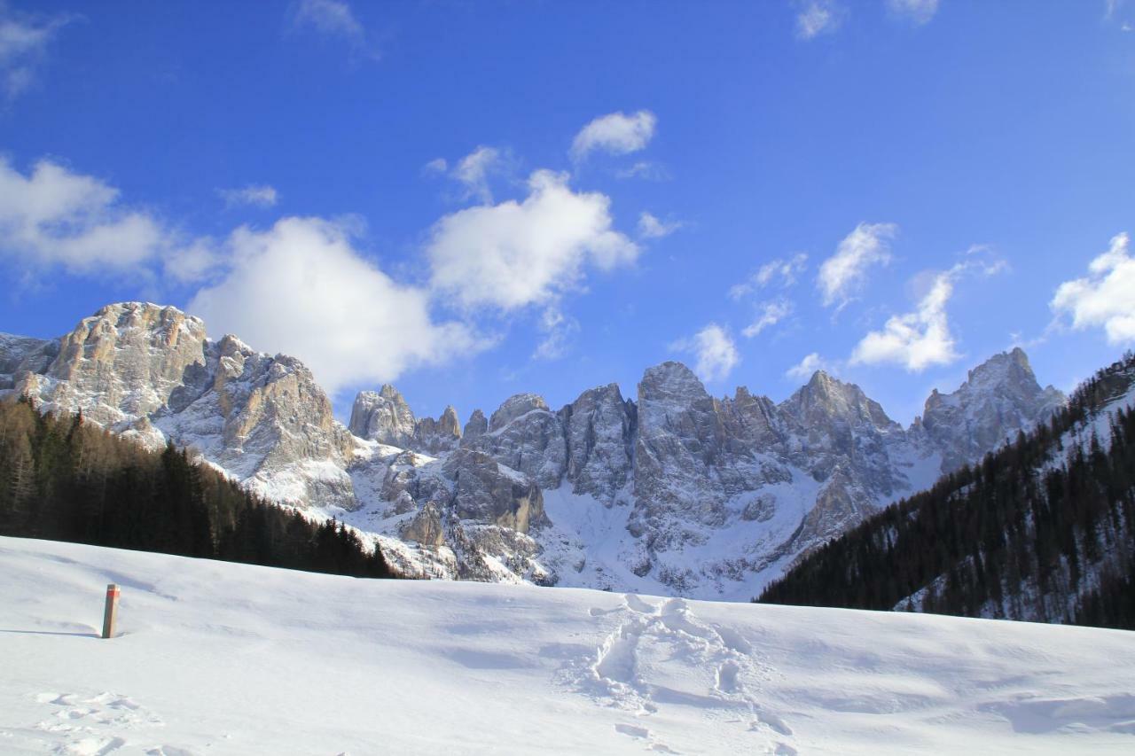 Апартаменты Casa Fiemme Панкия Экстерьер фото